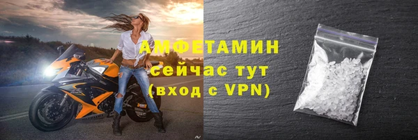 прущие грибы Баксан