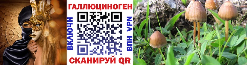 как найти закладки Новое Девяткино Псилоцибиновые грибы мицелий